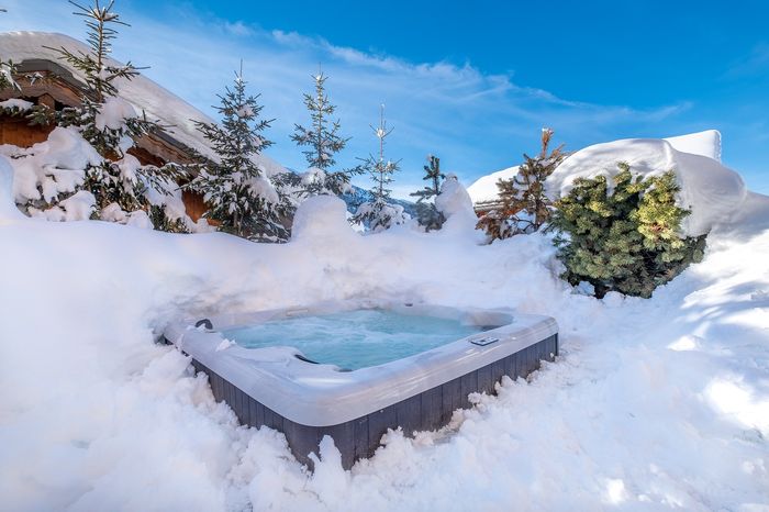 Repos Hivernal au Chalet «Zèbre»